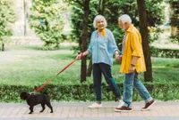 A man and woman walking their dog on a leash.