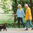 A man and woman walking their dog on a leash.